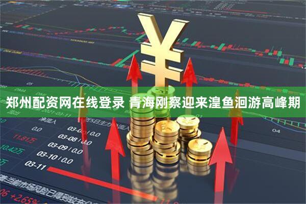 郑州配资网在线登录 青海刚察迎来湟鱼洄游高峰期