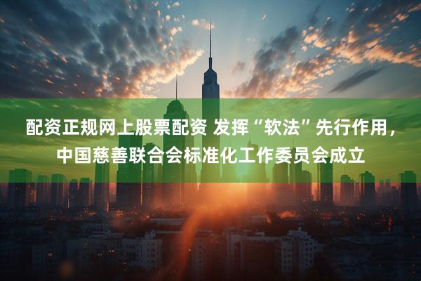 配资正规网上股票配资 发挥“软法”先行作用，中国慈善联合会标准化工作委员会成立