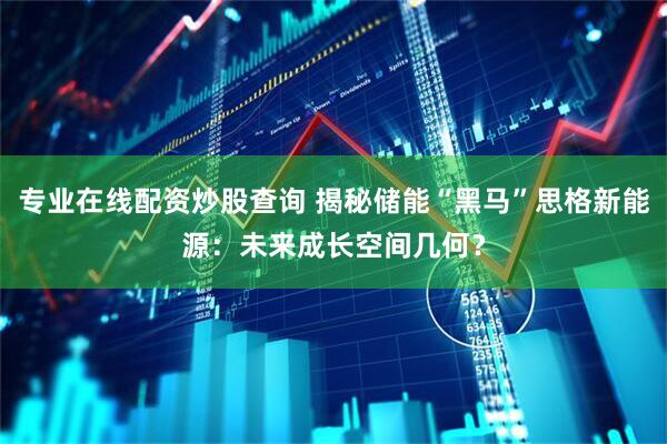 专业在线配资炒股查询 揭秘储能“黑马”思格新能源：未来成长空间几何？